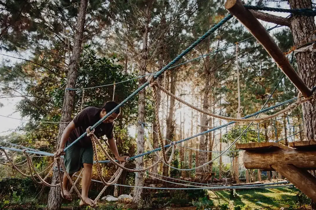 Aventura Wildwood: Un nou film stop-motion promite să captiveze publicul
