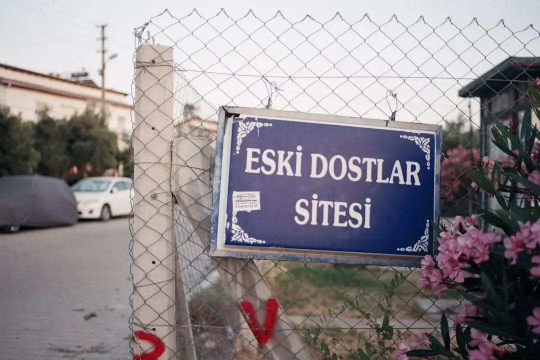 Bestia ar putea fi o carieră pentru Joel Kennaman
