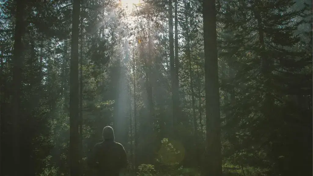 Brandon Flori Explorează muzica de țară în albumul nou Thrasher