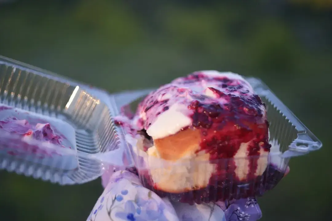 Jelly Roll ia o pauză prelungită de la turnee