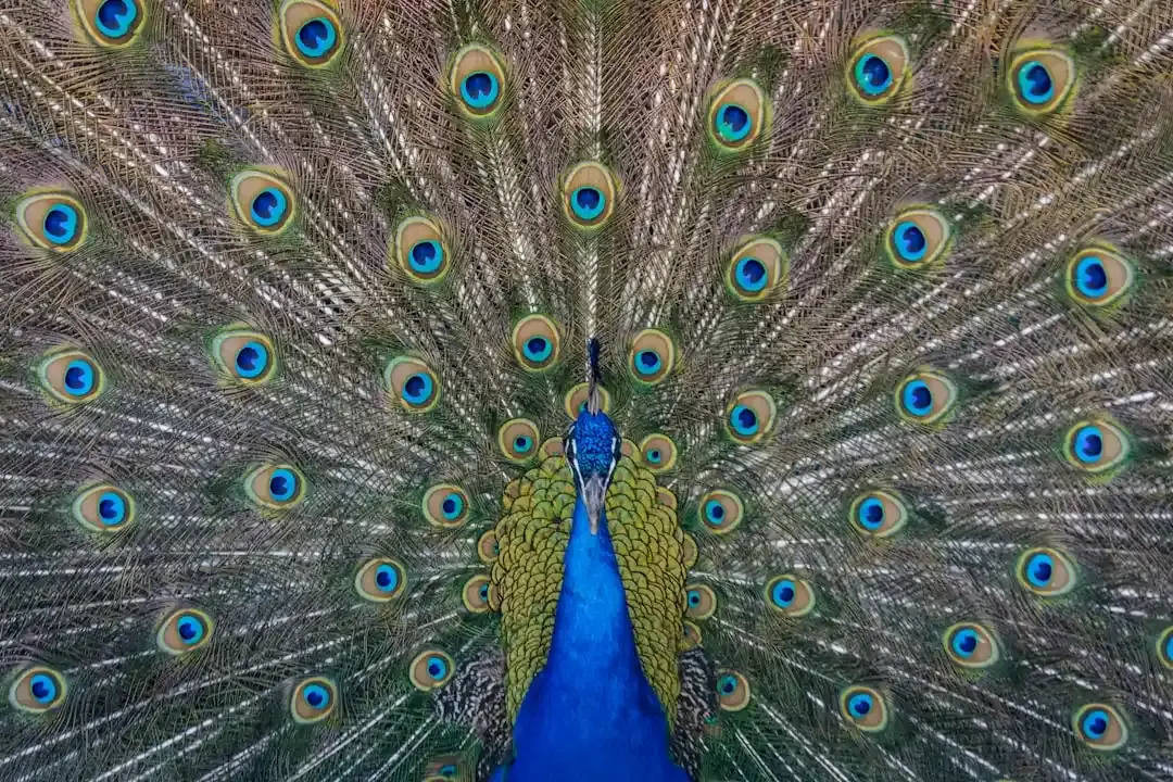 Peacock dezvăluie prima privire la noul serial de comedie „Dig