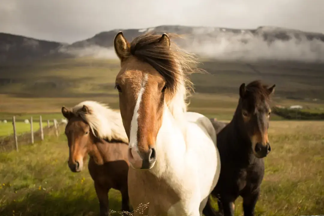 Slow Horses: Sezonul 6 se apropie cu o poveste captivantă