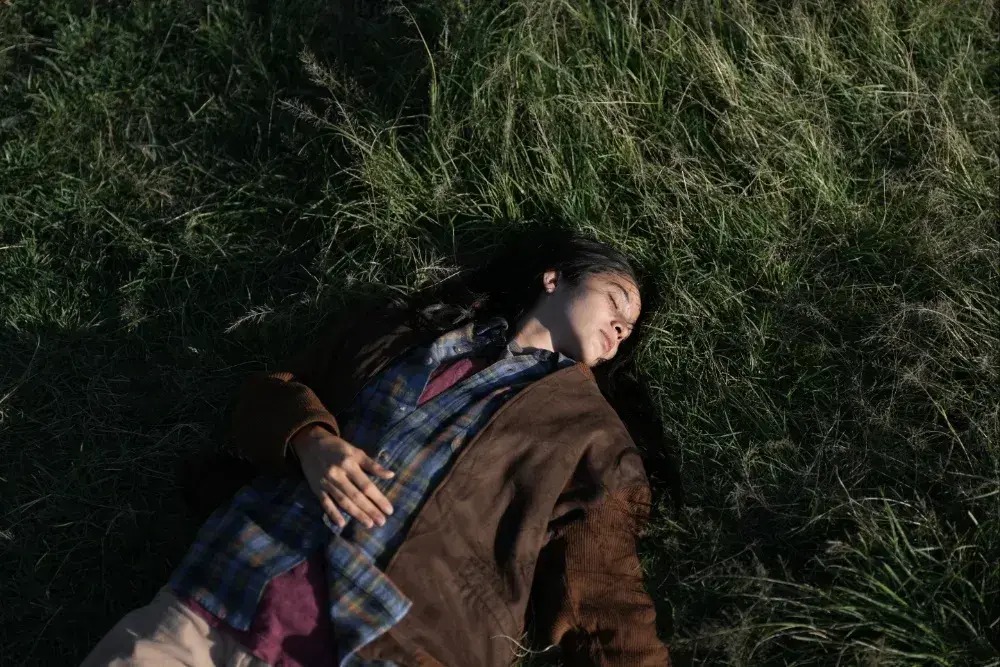 TIFF 2026: Premiere mondiale și povești din 50 de țări la Festivalul de Film de la Toronto