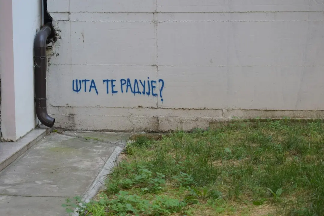 Trei proiecte esențiale semnate de Nathan Fielder după „The Curse
