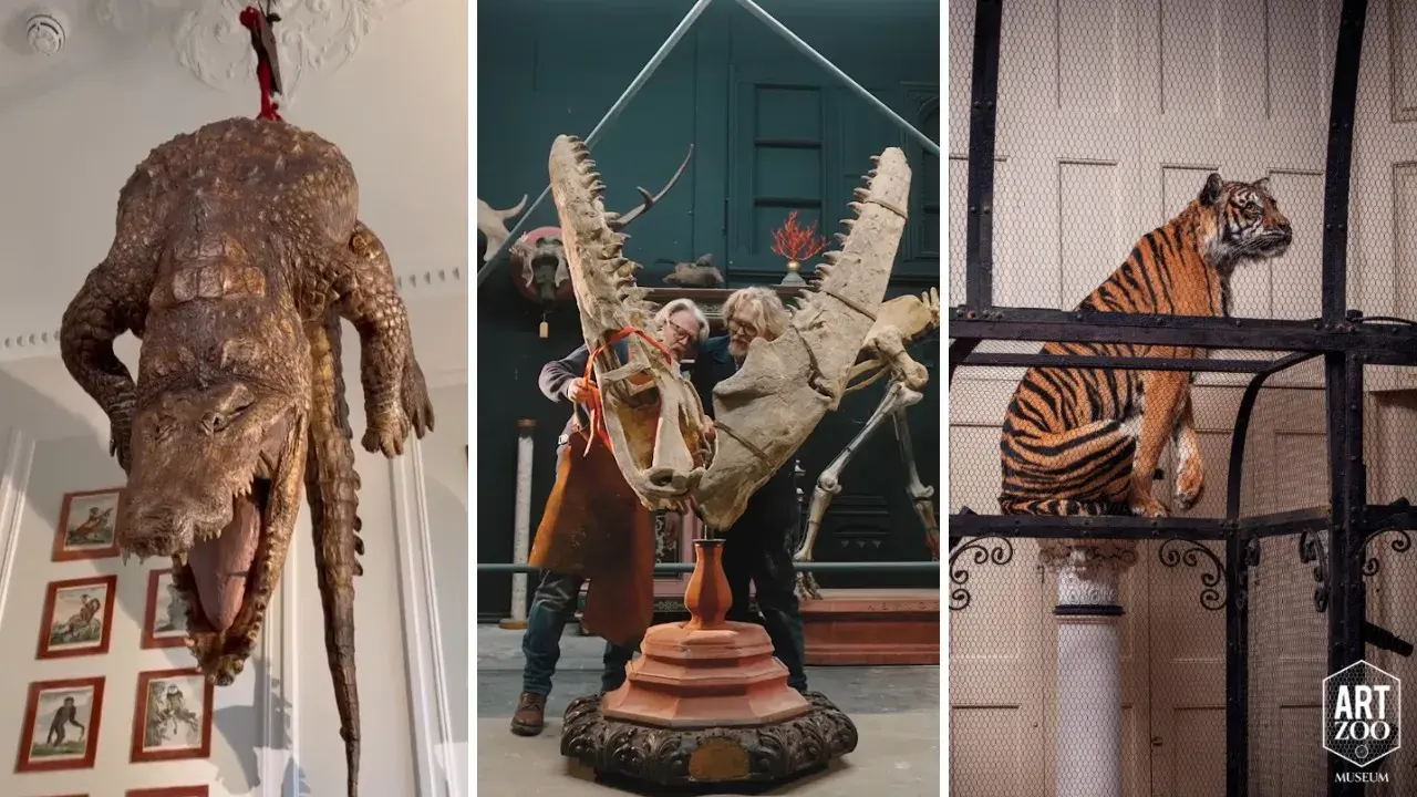 La Art Zoo din Amsterdam, vizitatorii sunt animalele din cușcă