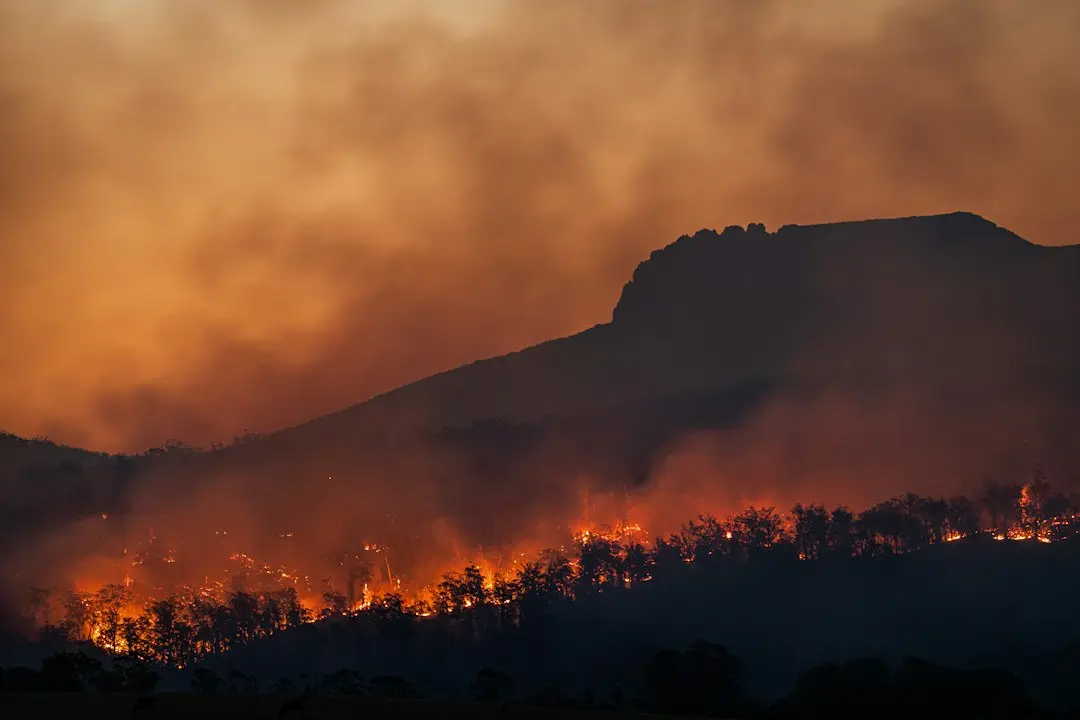 Fire Country Sezonul 5 arată că CBS trebuie să se întoarcă la punctele sale forte