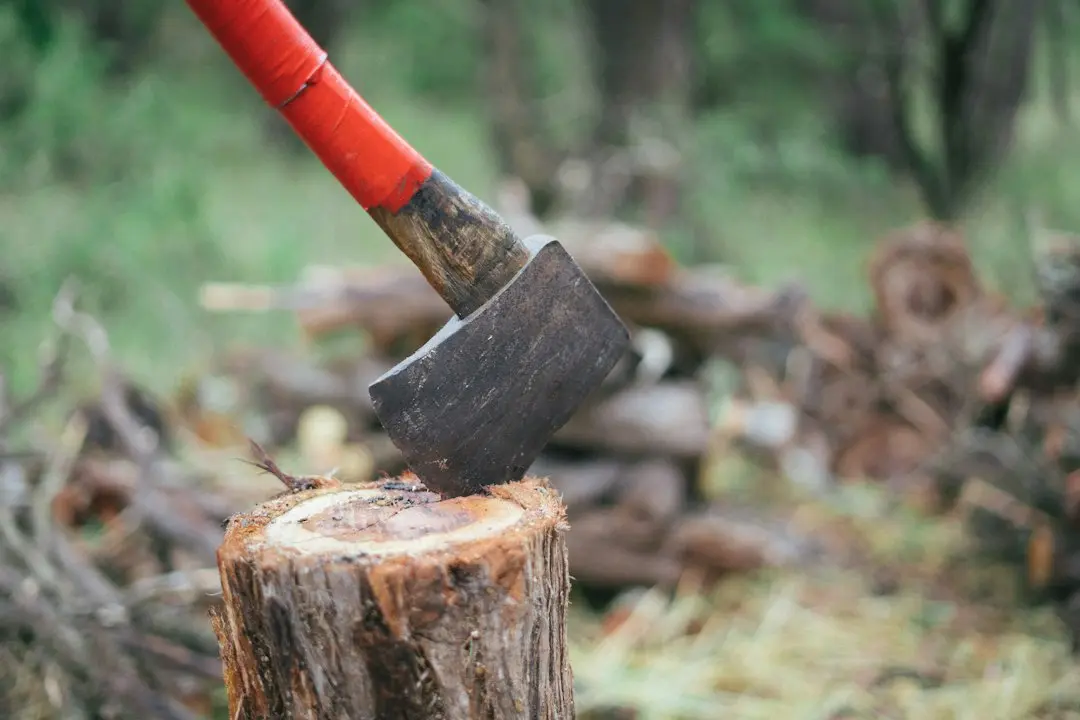 Hatchet, romanul de supraviețuire, devine film pe Netflix
