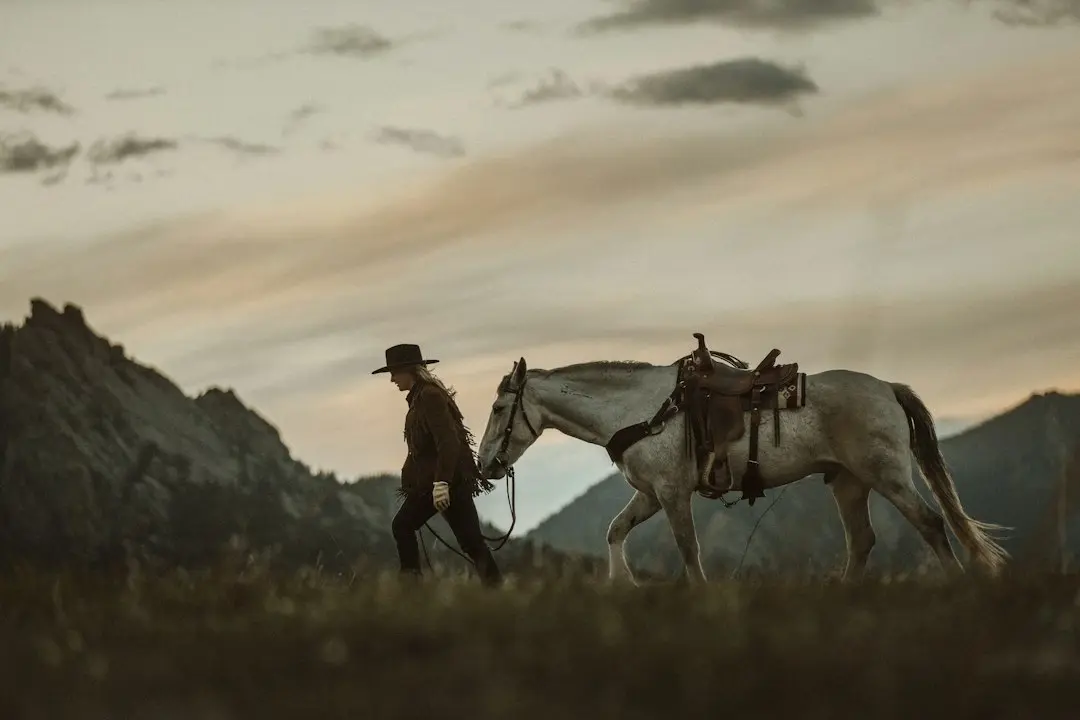 Capodopera Western „Open Range” cu Kevin Costner poate fi văzută gratuit