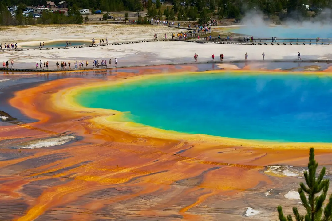 Yellowstone se transformă: Spinofful revine cu sezonul doi și o nouă direcție